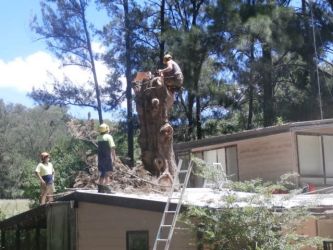 Alan removing tree through house  - 1